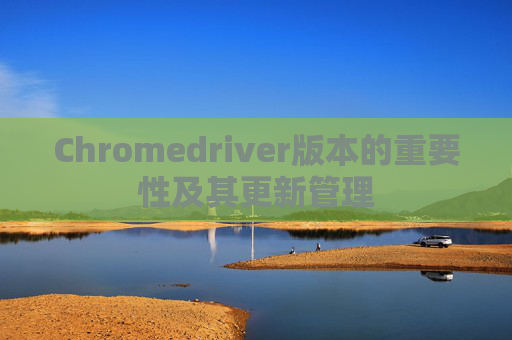 Chromedriver版本的重要性及其更新管理